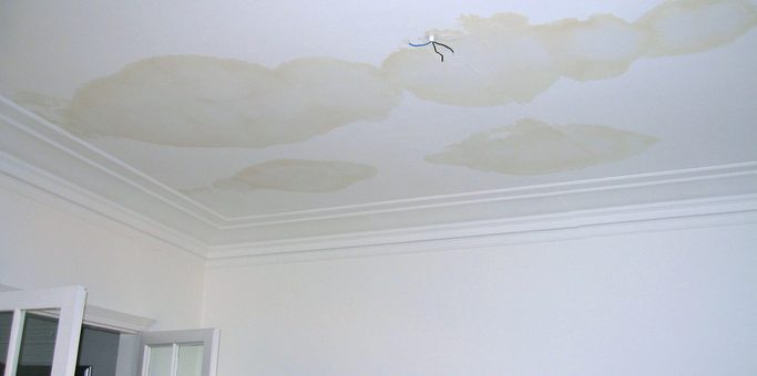 The Hidden Signs Of A Water Leak In Your Home Ehs Restoration